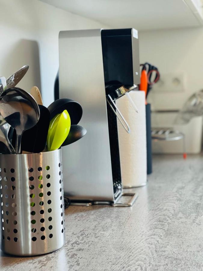 La Belle Ferronniere Appartement Avec Environnement Paisible アンボワーズ エクステリア 写真